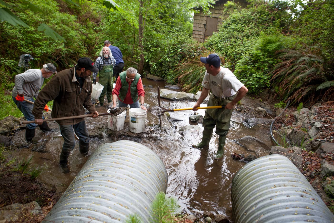 Bowen Island Salmon Habitat Rehabilitation Projects on Vimeo