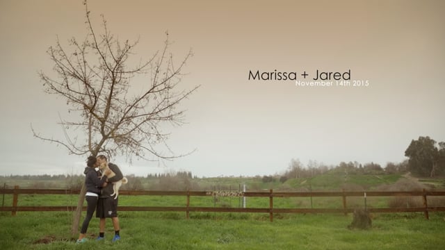 Marissa + Jared