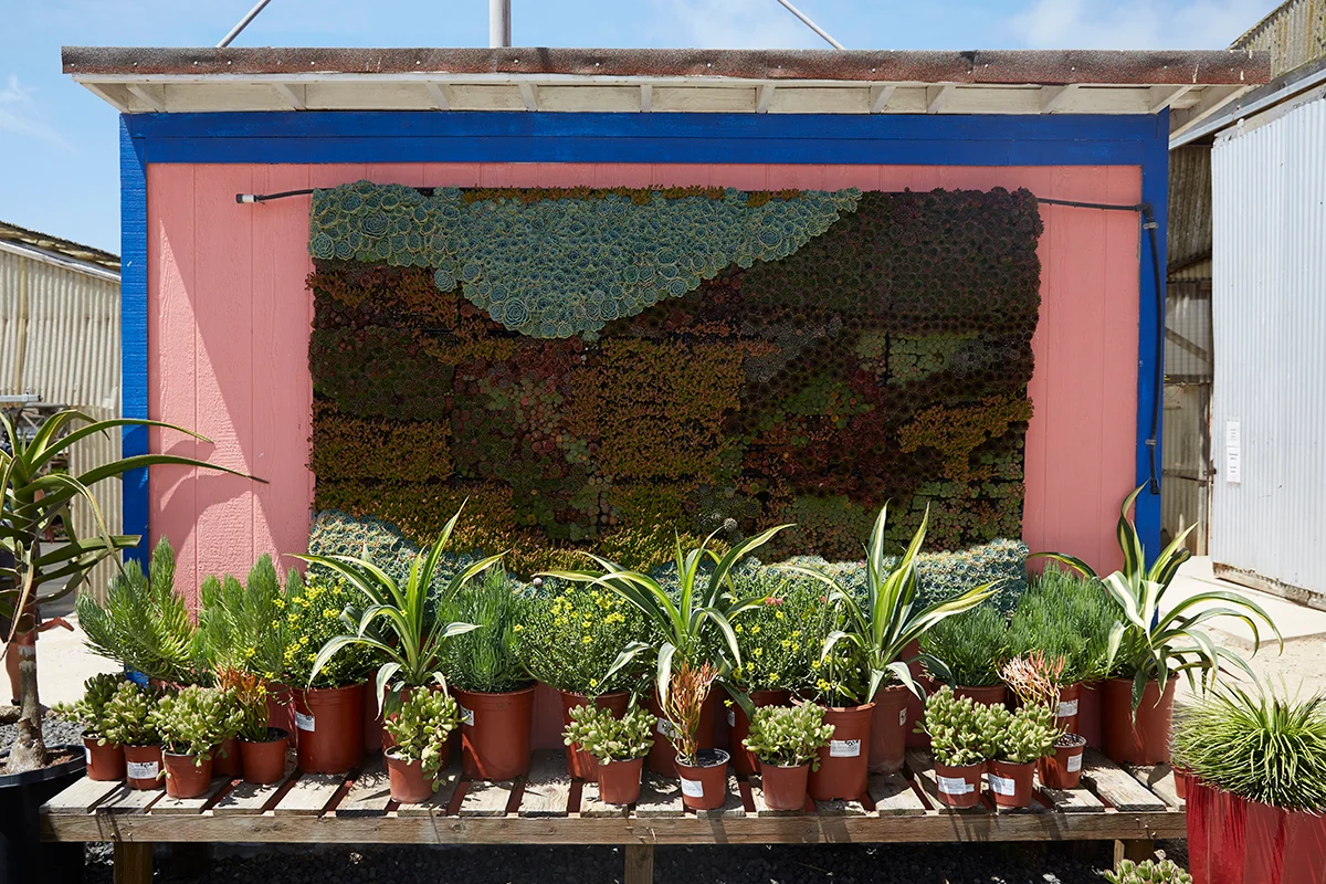 The CA Grown Experience Visits Succulent Gardens.