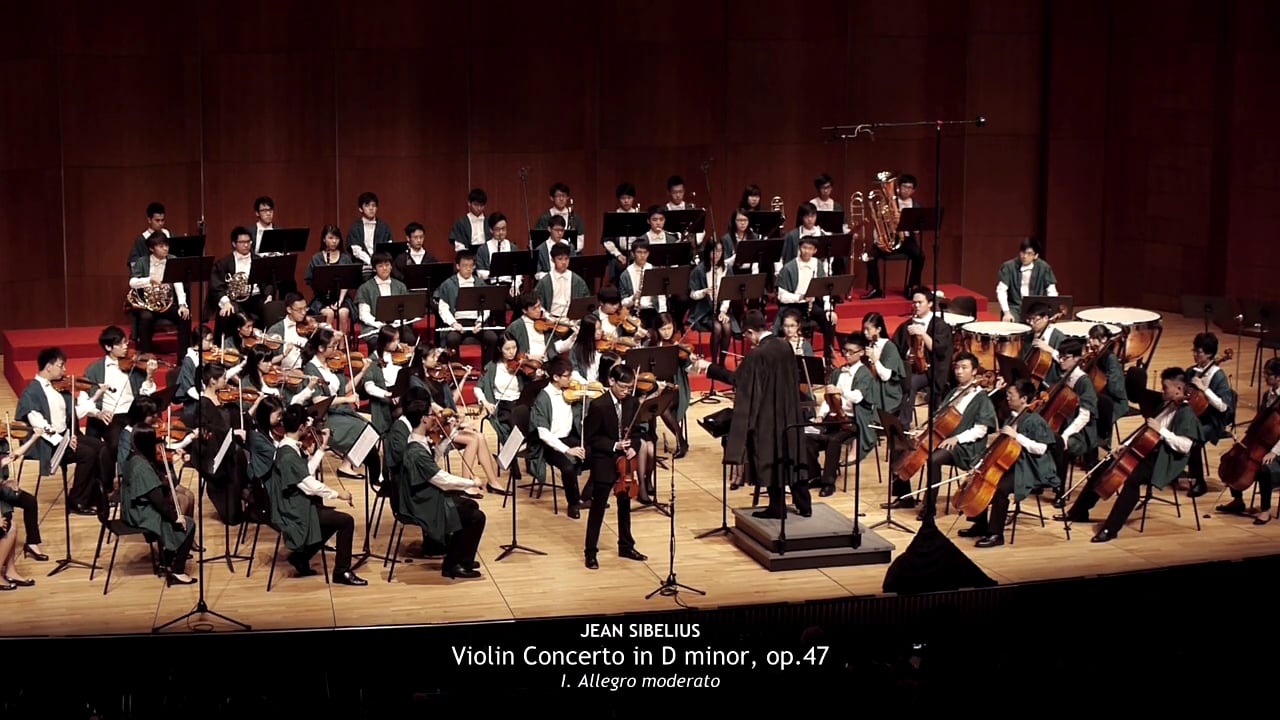 Sibelius: Violin Concerto in D minor, op.47 (1st movement) on