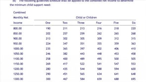 child support law florida 2024