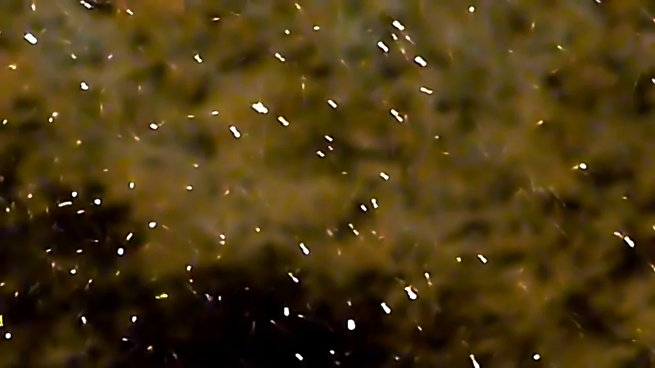 гарри стайлс falling. Videohive snowflakes template. Popular monster falling in reverse клип. Trevor daniel & doublefast falling. Falling video.