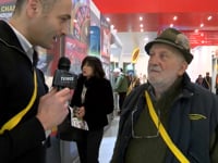 HIT SHOW, LA CARICA DEI 31 MILA