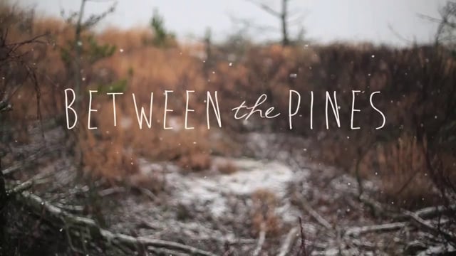 Between the Pines from THE WILD LYFE