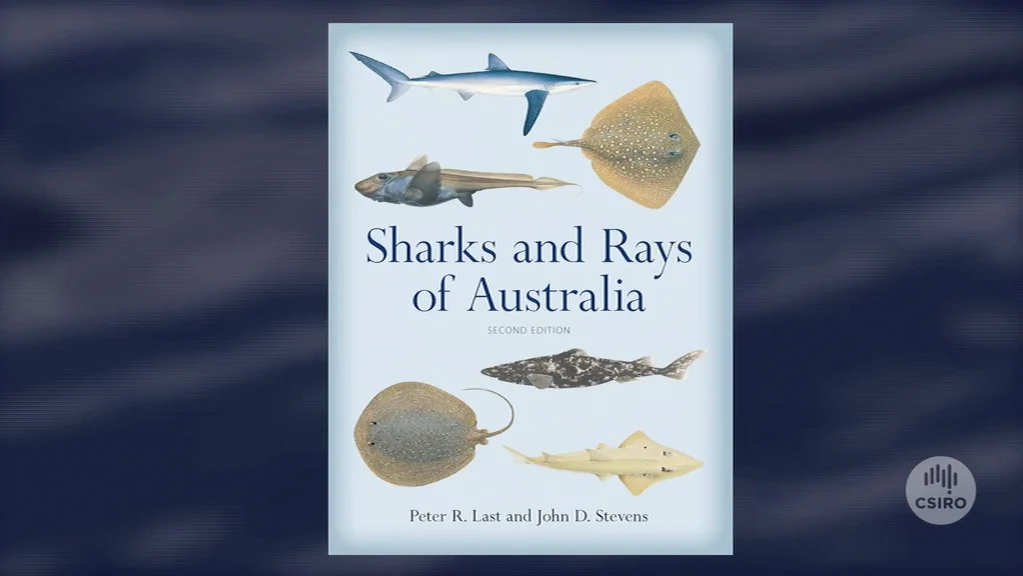 Sharks and Rays of Australia