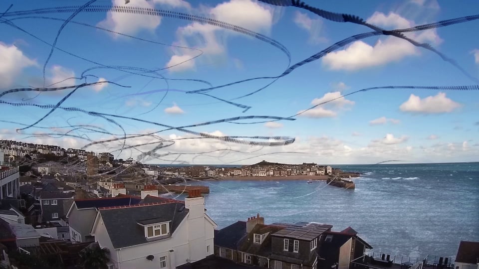 Seagull Skytrails
