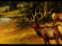 The GoHawkeye Foundation Promotional Reel Spring 2015