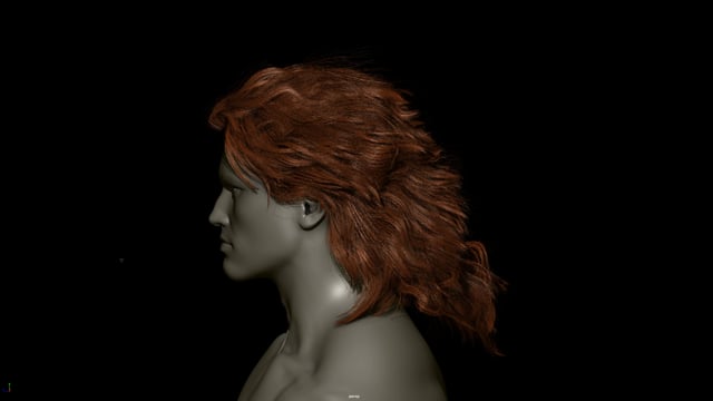 hair dynamics 1