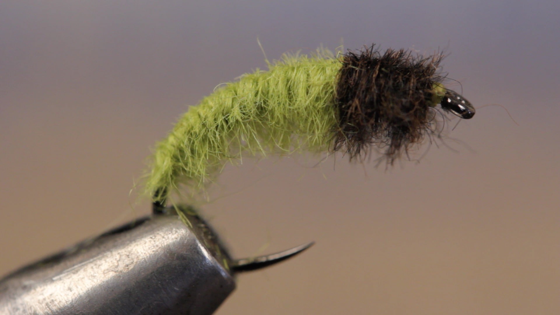 Личинка мушки. Caddis Larva мушка. Мушка ручейник. Клинкхаммер мушка нахлыстовая. Мушки пупа ручейник.