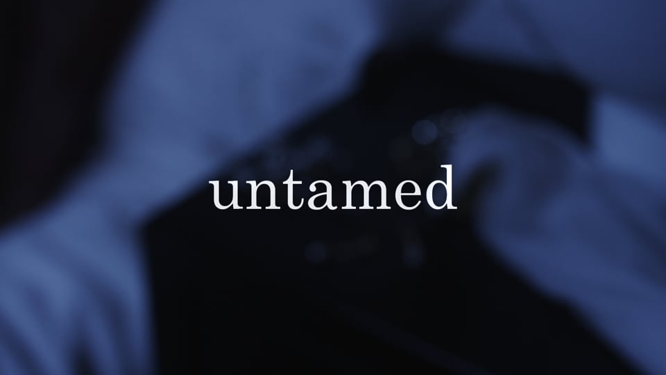 Untamed Jewelry