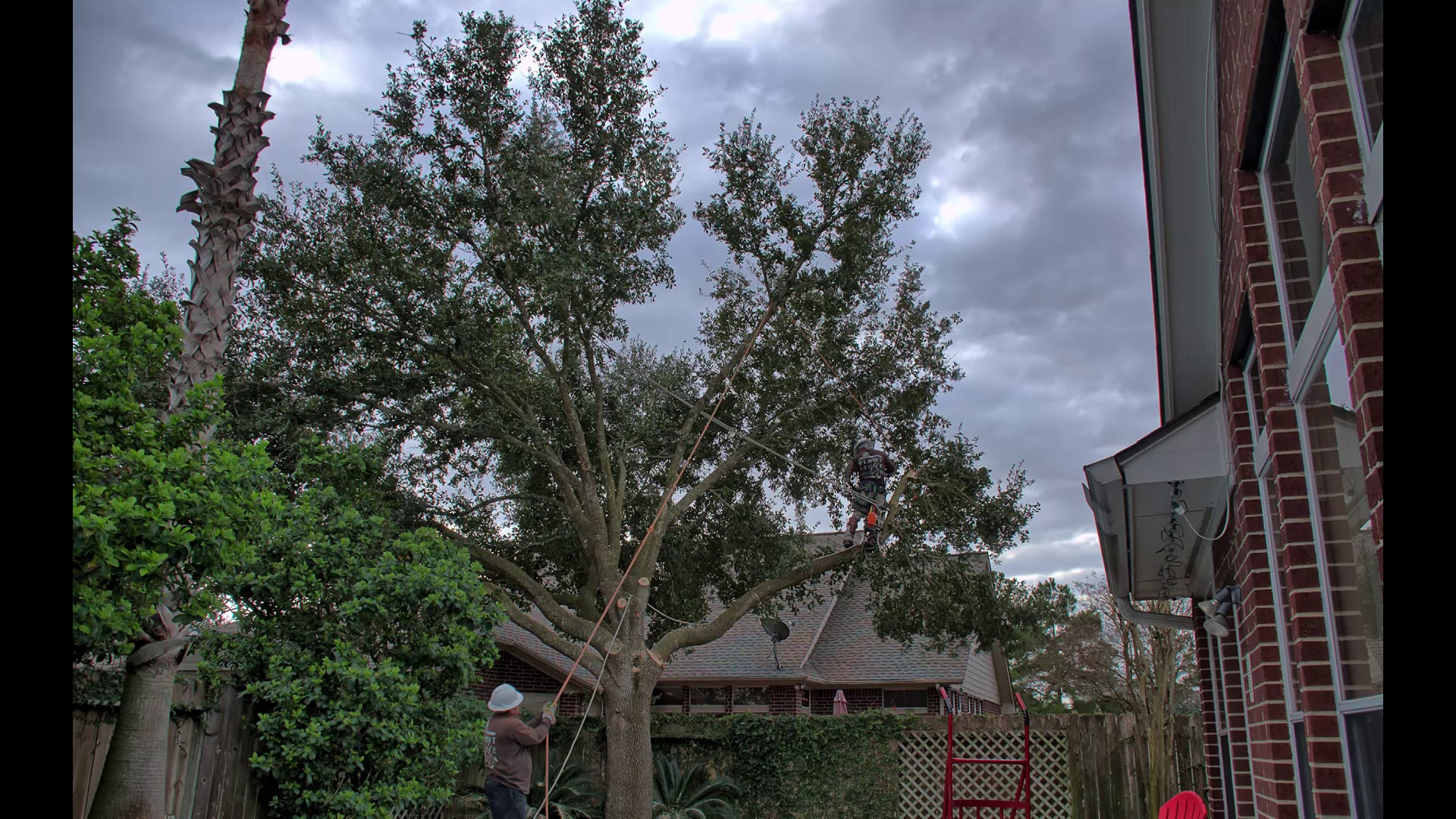 HDR Timelapse of Live oak Tree Removal in houston on Vimeo