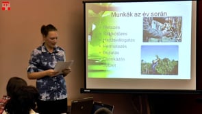 Kincskeresők 2014 - Mészáros Boglárka és Szabó Dóra, Muzsla