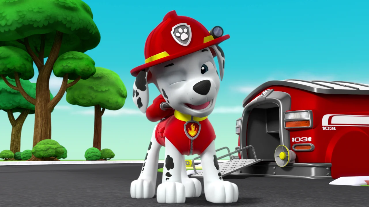 Paw patrol sales marshall spin master