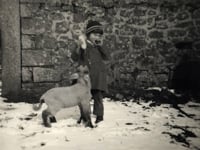 Heather's Story- Childhood memories of farming in Cornwall