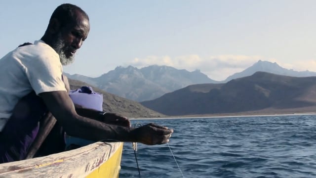 Socotra: The Hidden Land