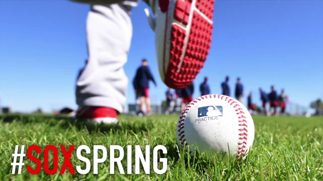 Photos And Video: 2015 Boston Red Sox Spring Training. - Billie Weiss