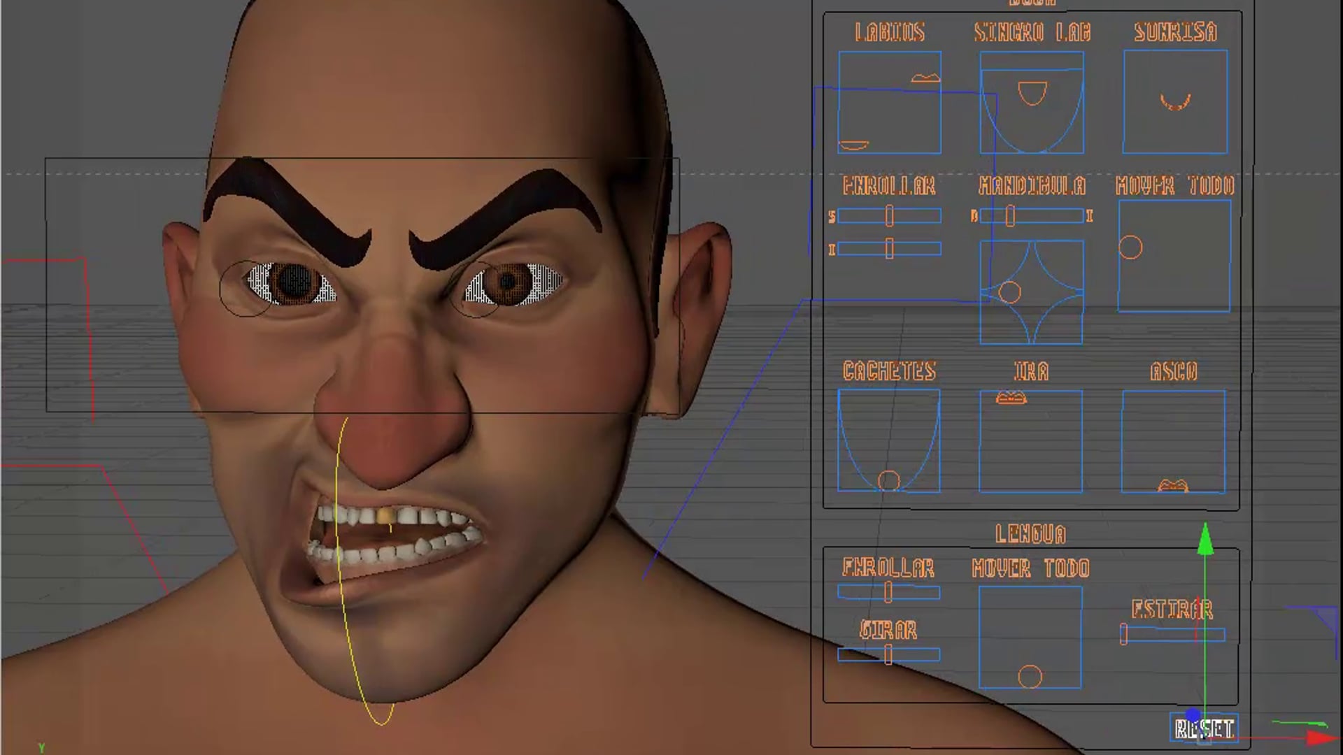 RIG FACIAL