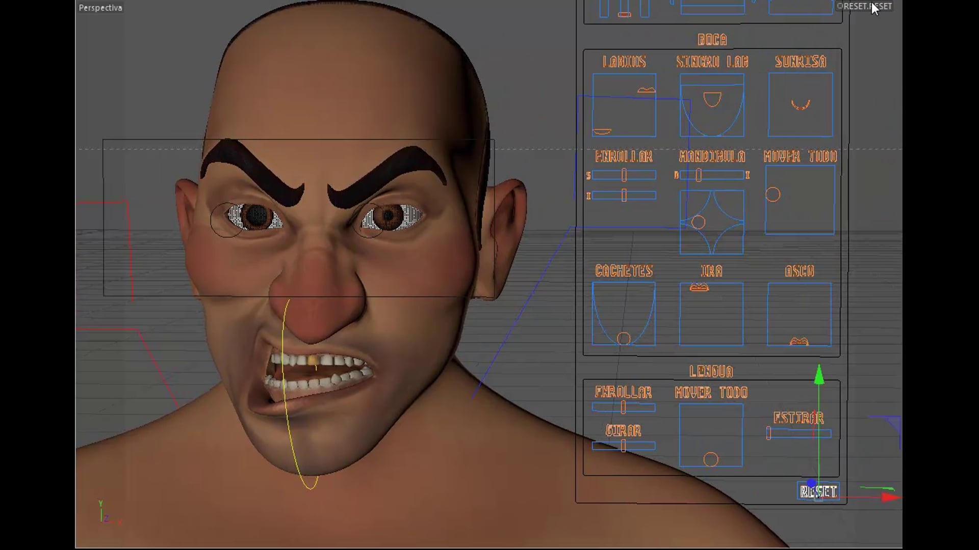 RIG FACIAL