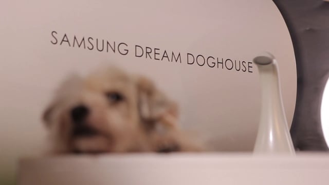 Samsung - Customer Success Story