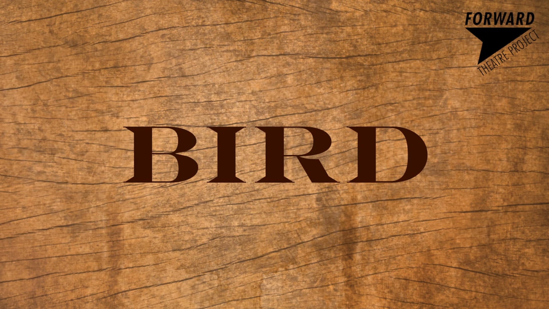 'BIRD' - a family-friendly outdoor show from Forward Theatre Project