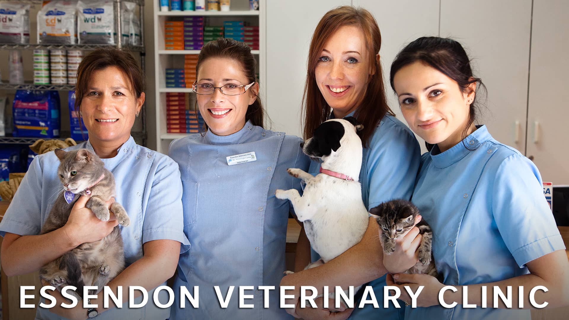 Essendon Vet Clinic on Vimeo