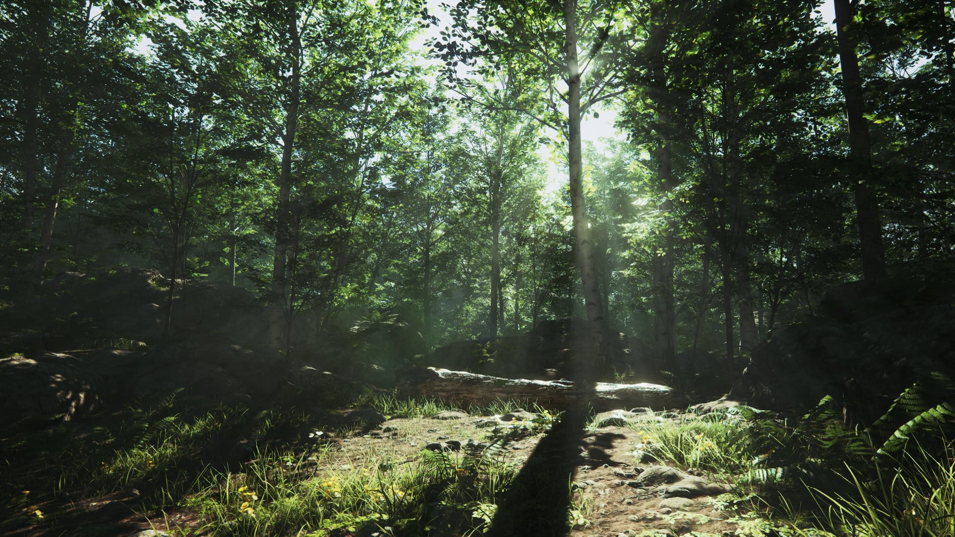 Unreal engine lighting. Имитация леса. Лес 4д. Unreal engine 4 Forest. Имитация леса в игре.