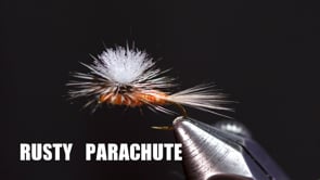 Related Embedded Video Item Thumbnail