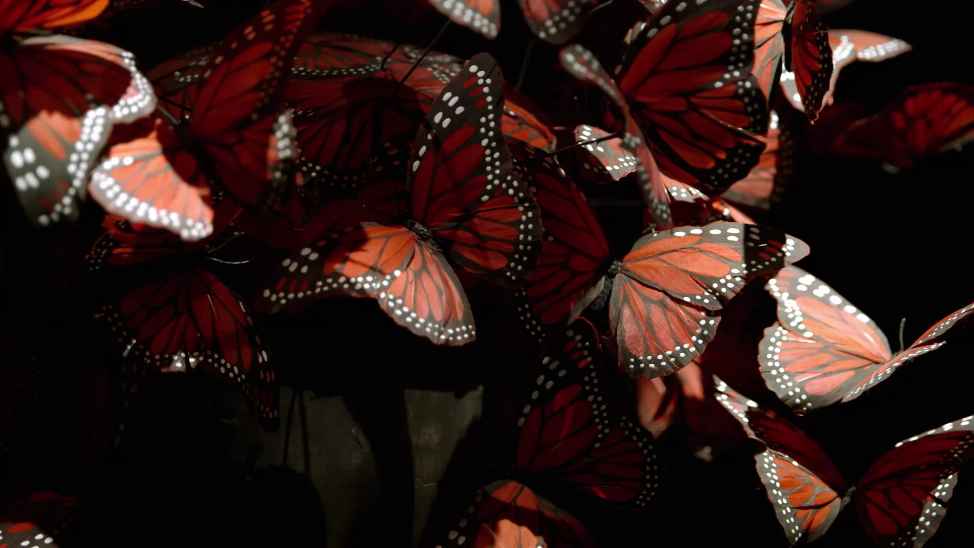 How to get a behind-the-scenes look at the new McQueen collection