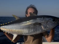 Mediterranean - Fly fishing for tuna !