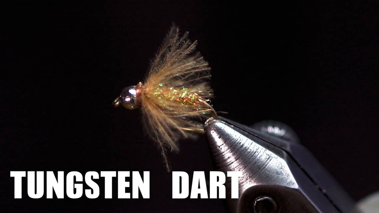 Tungsten Dart On Vimeo