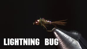 Related Embedded Video Item Thumbnail