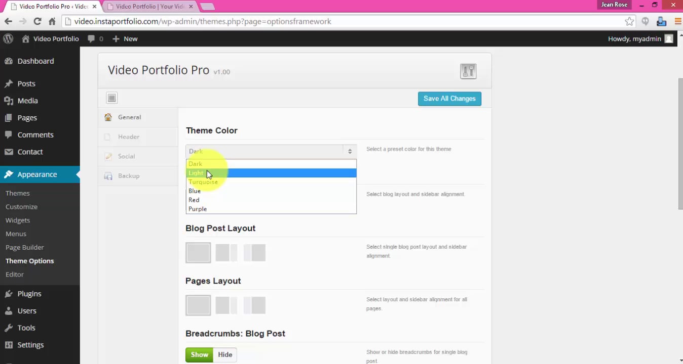 theme options on Vimeo