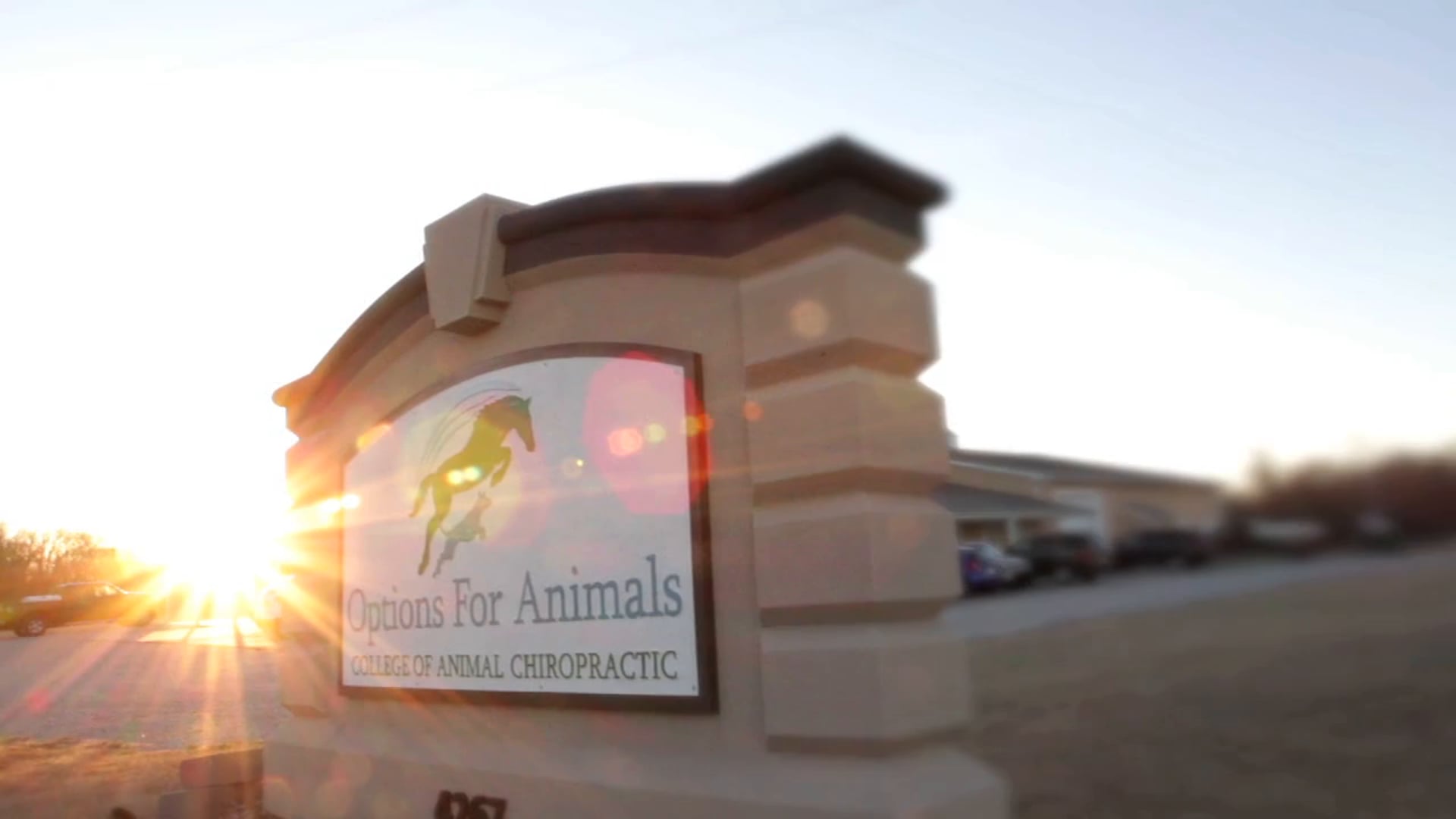 Medical Promotional Videos