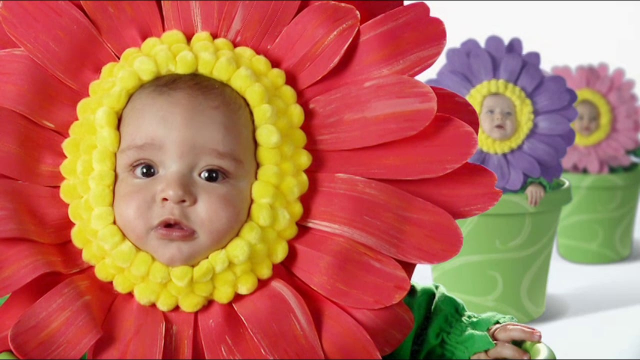Lovelace - Labor of Love - Flower Pot Babies