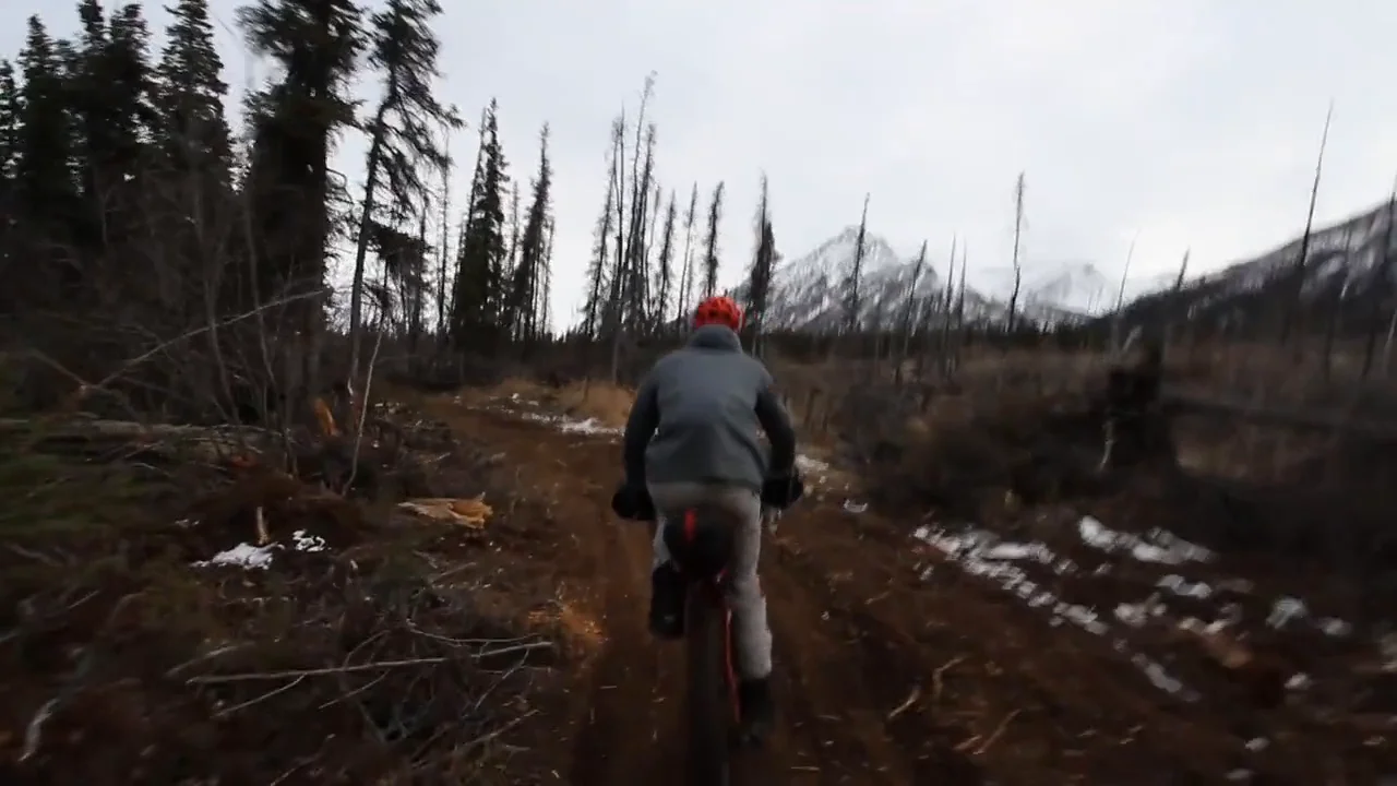 Home to Home (McGrath to Anchorage on the Iditarod Trail) on Vimeo