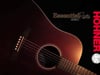 HOHNER Essential Roots Guitars (Produktfilm)