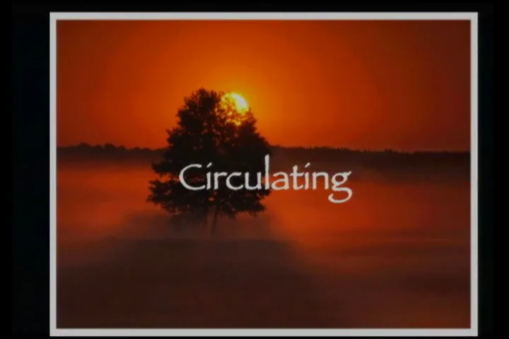 Circulating on Vimeo