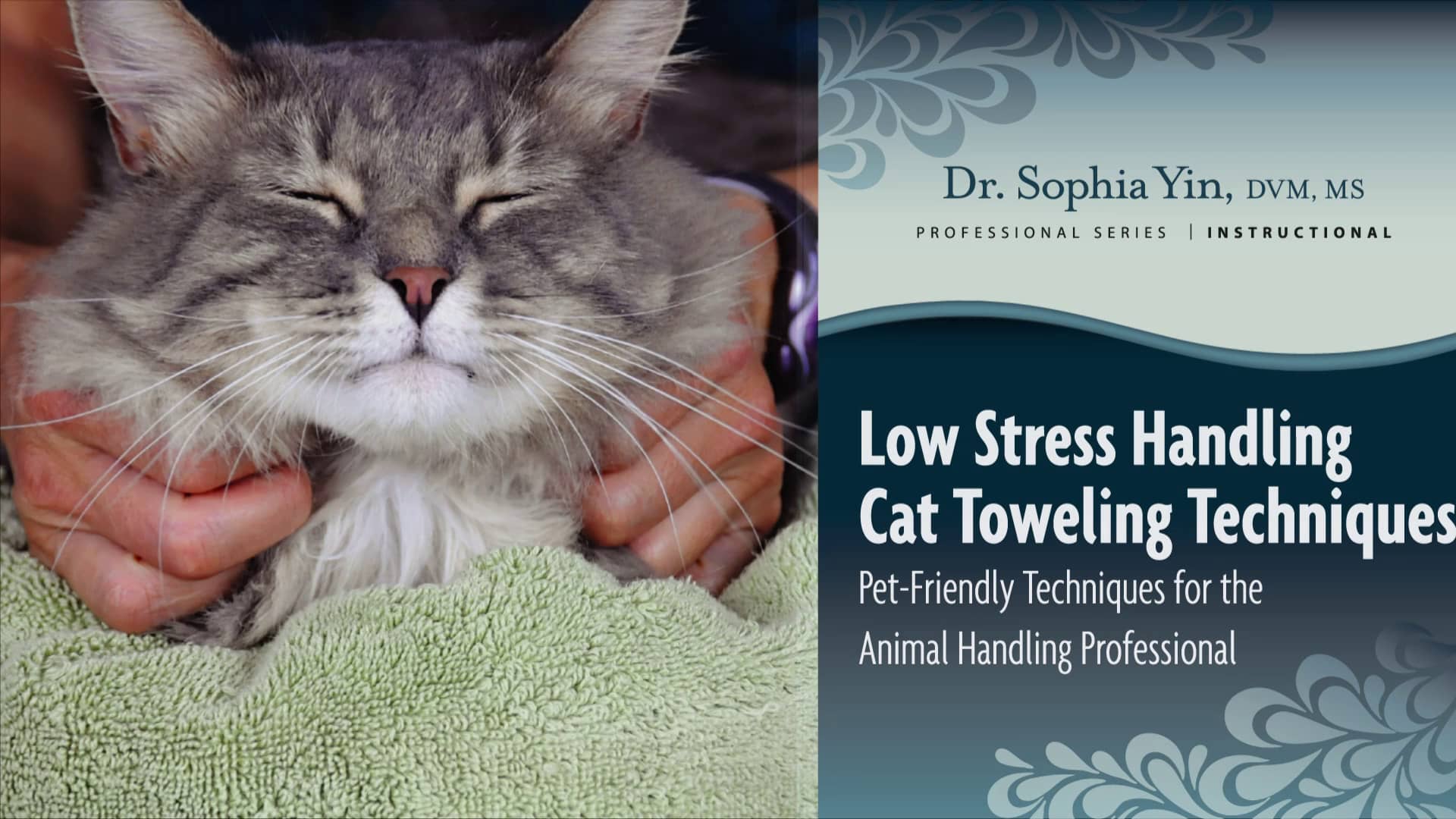 Towel Wrap Techniques for Handling Cats with Skill and Ease Trailer on