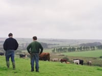 Steve's Story- Livestock Farming through the generations