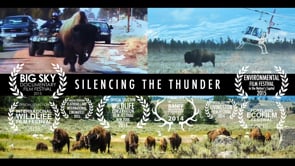 Silencing the Thunder