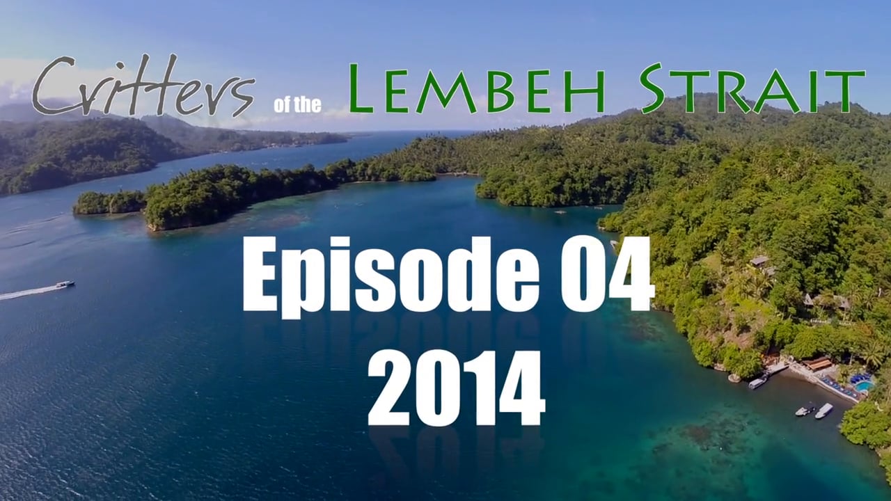 Critters of the Lembeh Strait | Episode 04/2014
