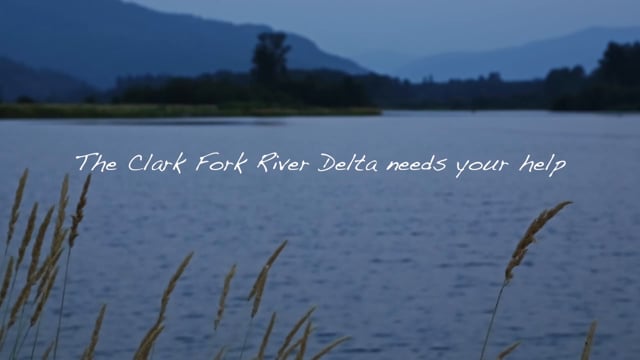 Idaho Conservation League: The Clark Fork River Delta needs your help