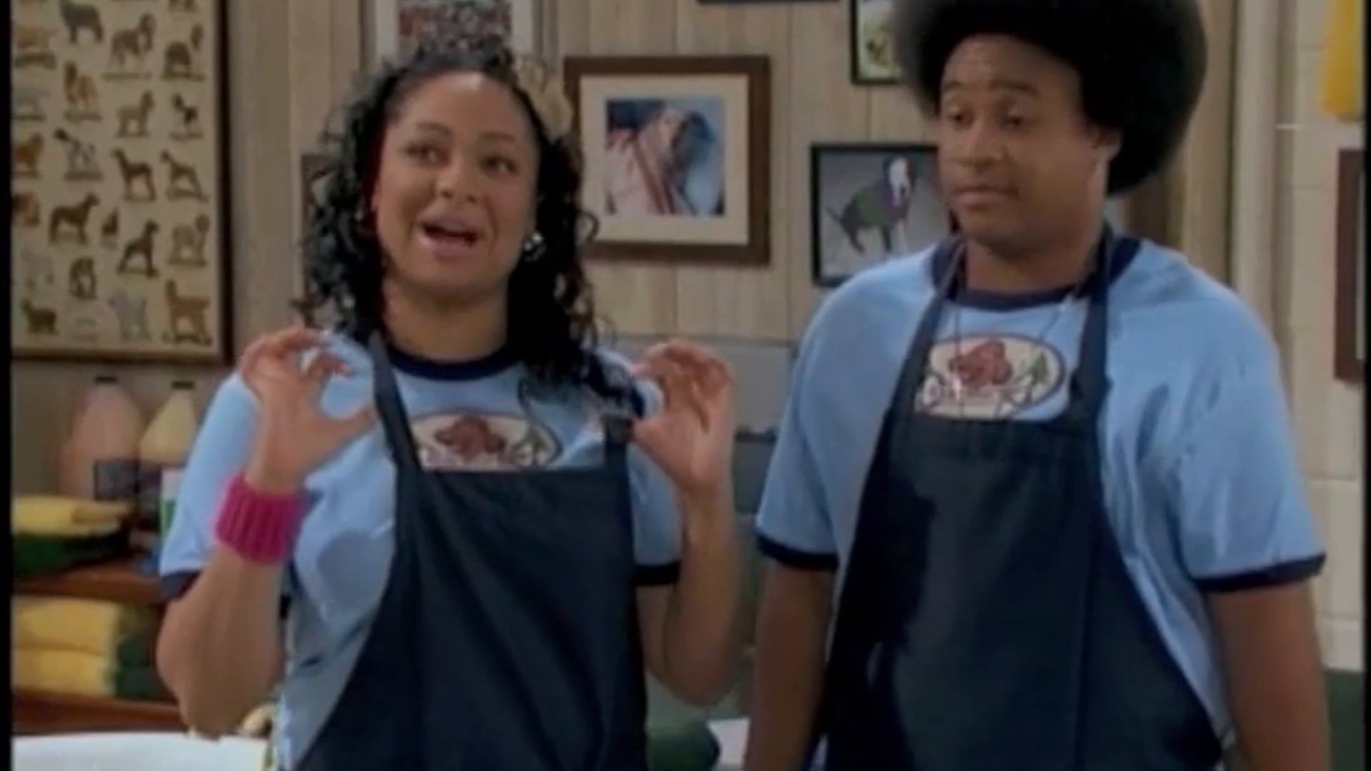That's So Raven- Multicam Comedy