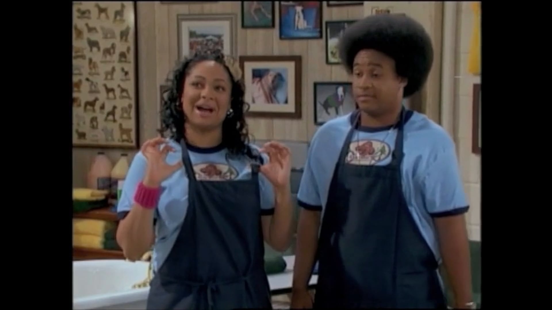 That's So Raven- Multicam Comedy