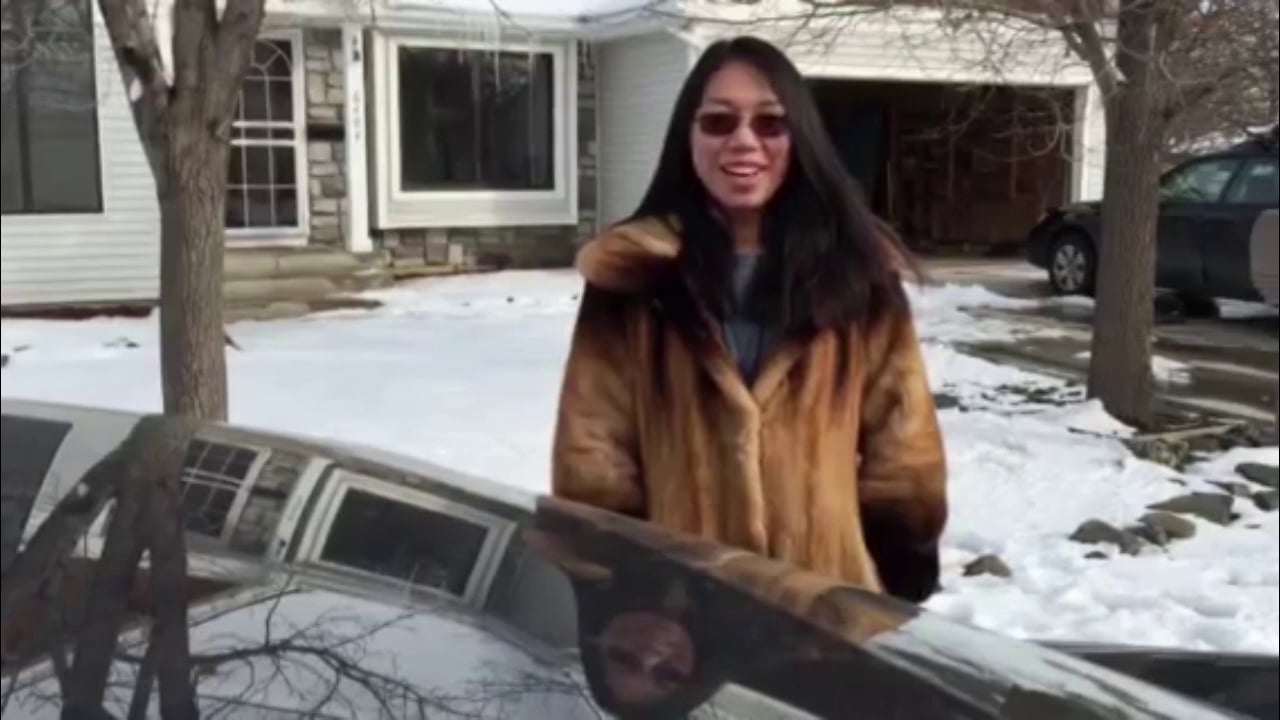 Shu's Introductory video with a summary of her results on Vimeo