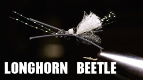 Related Embedded Video Item Thumbnail