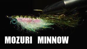 Related Embedded Video Item Thumbnail