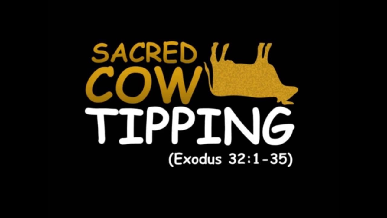 Sacred Cow Tipping (Steve Higginbotham)