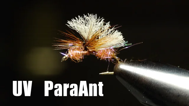 UV Para Ant Just Add Vise Tying Kit - Headhunters Fly Shop