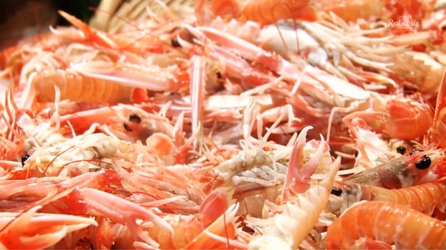 Les Rabelais des Jeunes Talents 2015 - POISSONNIER